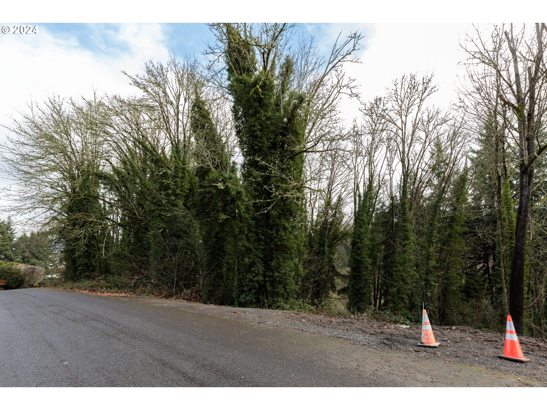 a view of outdoor space with trees