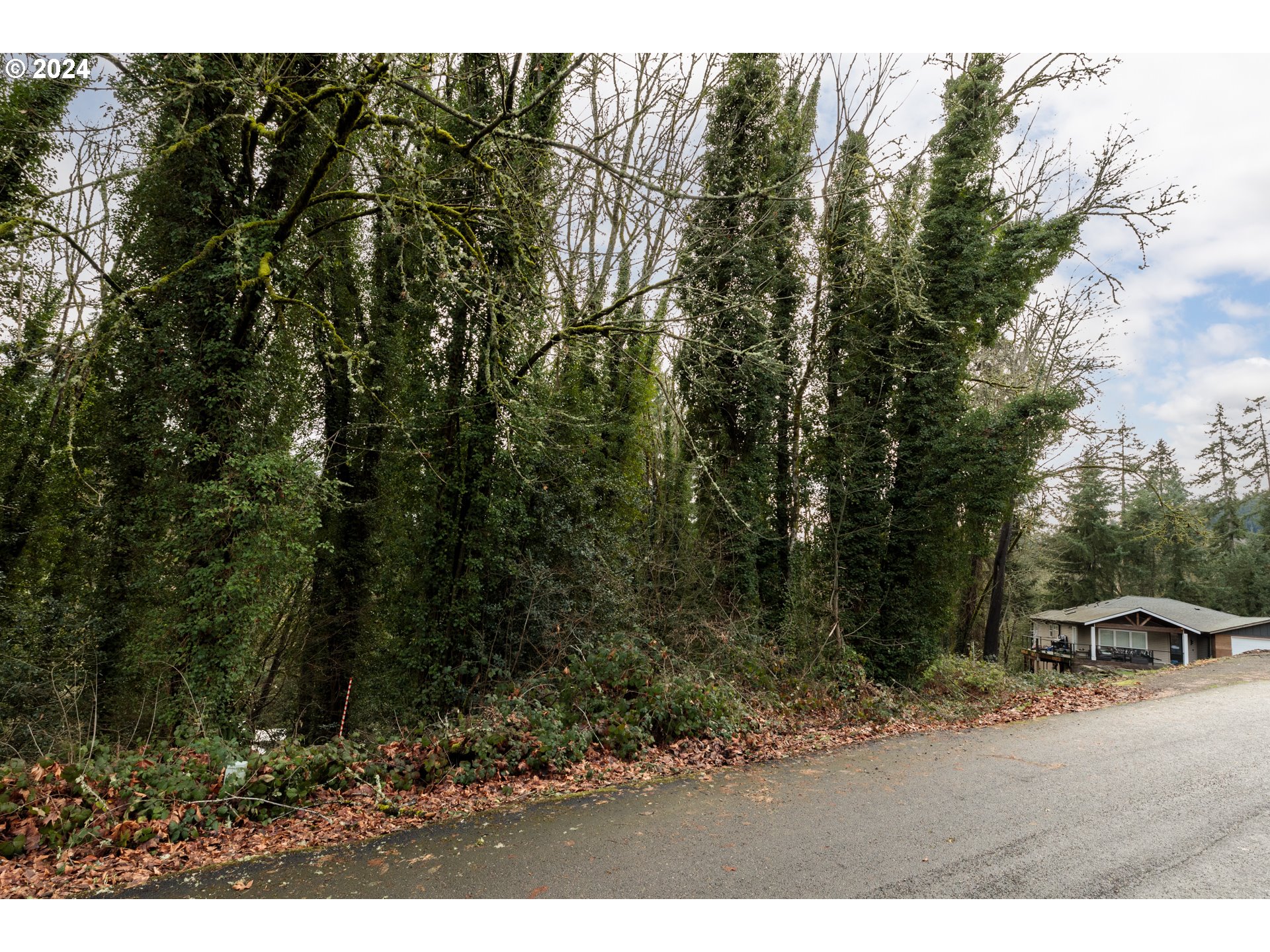 0 Maple Drive Rainier, OR 97048 - Photo 2 of 3 a view of outdoor space and yard