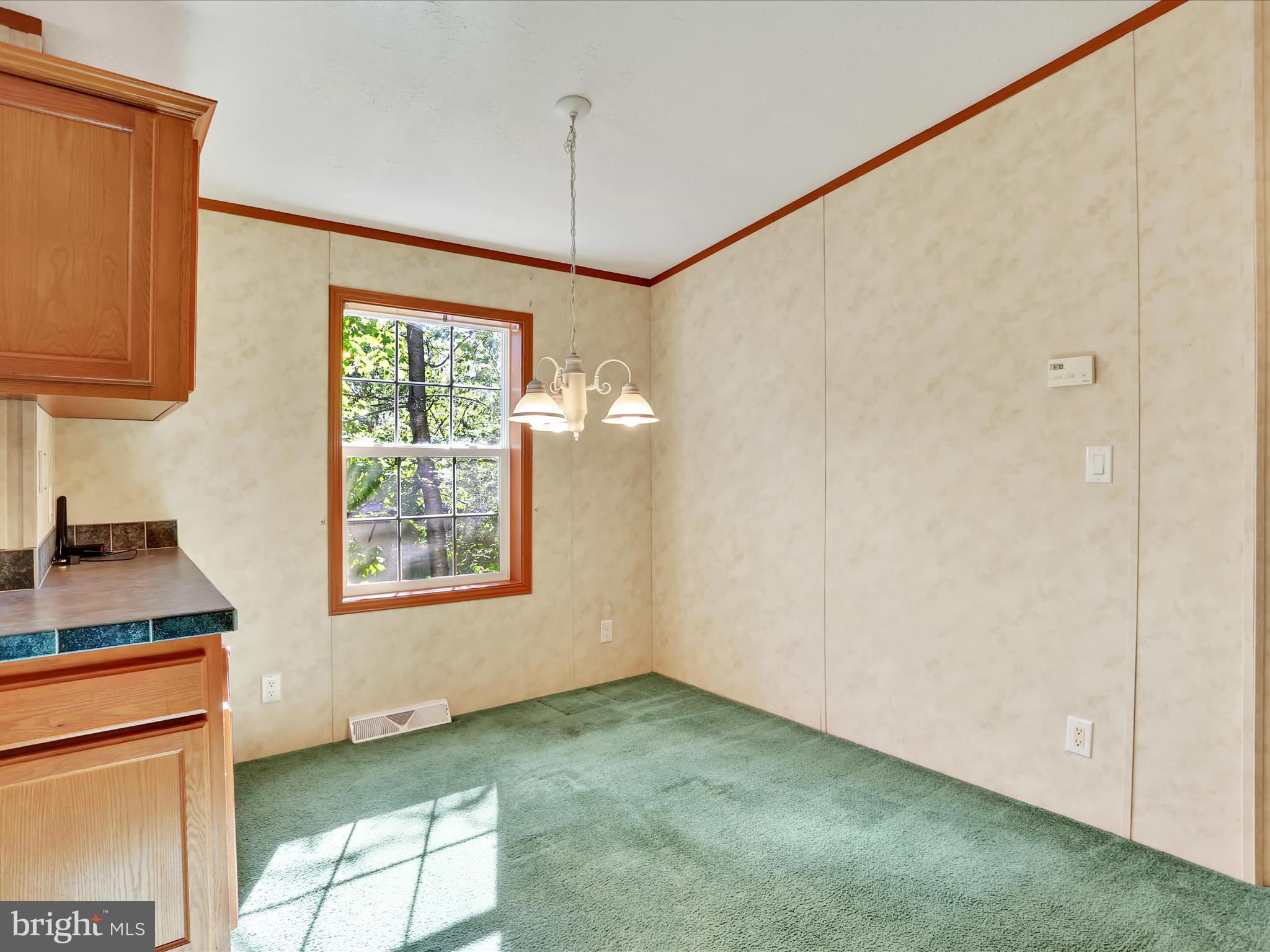 240 Spies Church Road, Unit 216 Reading, PA 19606 - Photo 8 of 25 3I3A4367