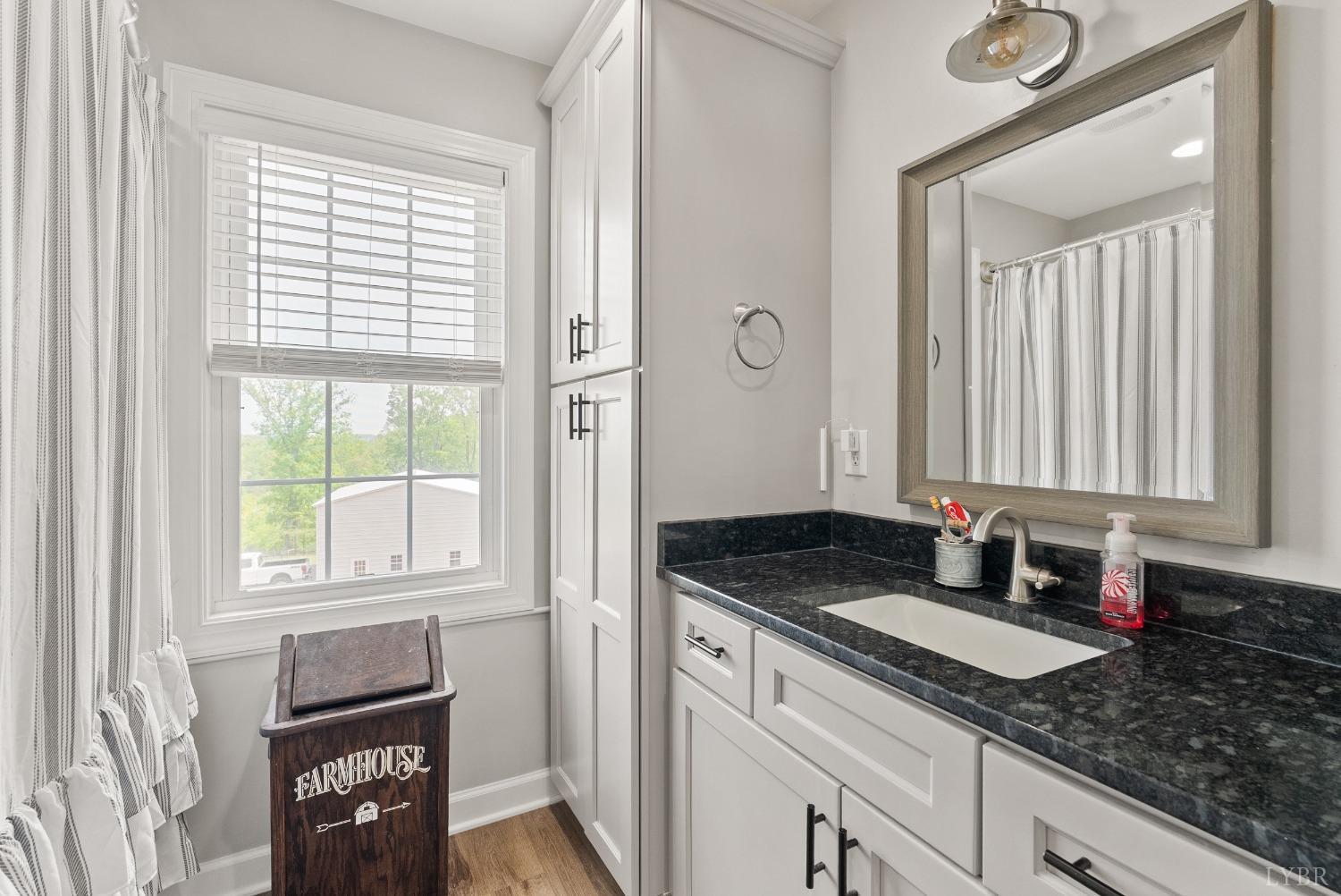 4607 Lowry Road Goode, VA 24556 - Photo 29 of 64 a bathroom with a granite countertop sink and a window