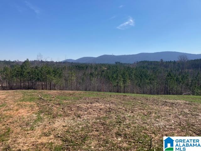 6951 Rendalia Motorway, Unit 16 79 Talladega, AL 35160 - Photo 4 of 5
