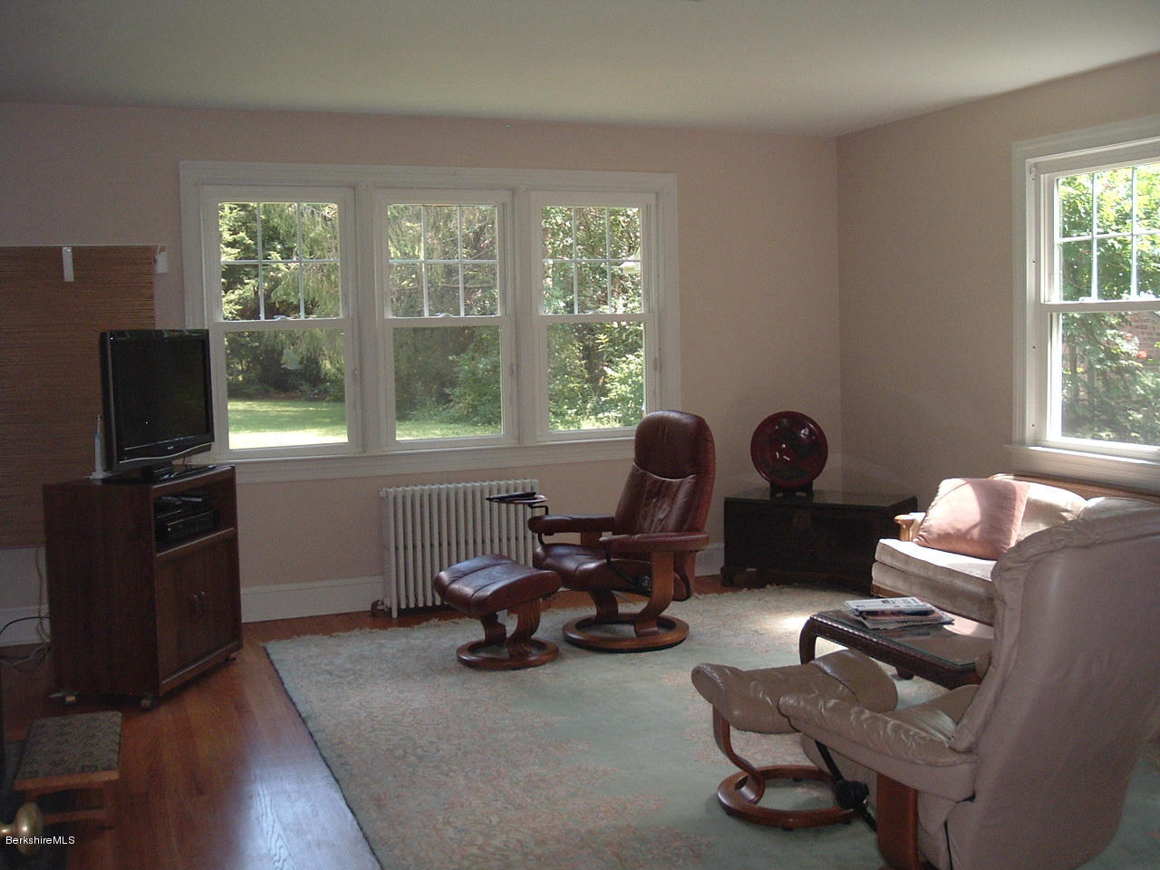 217 Holmes Road Pittsfield, MA 01201 - Photo 5 of 22 217 Holmes LR