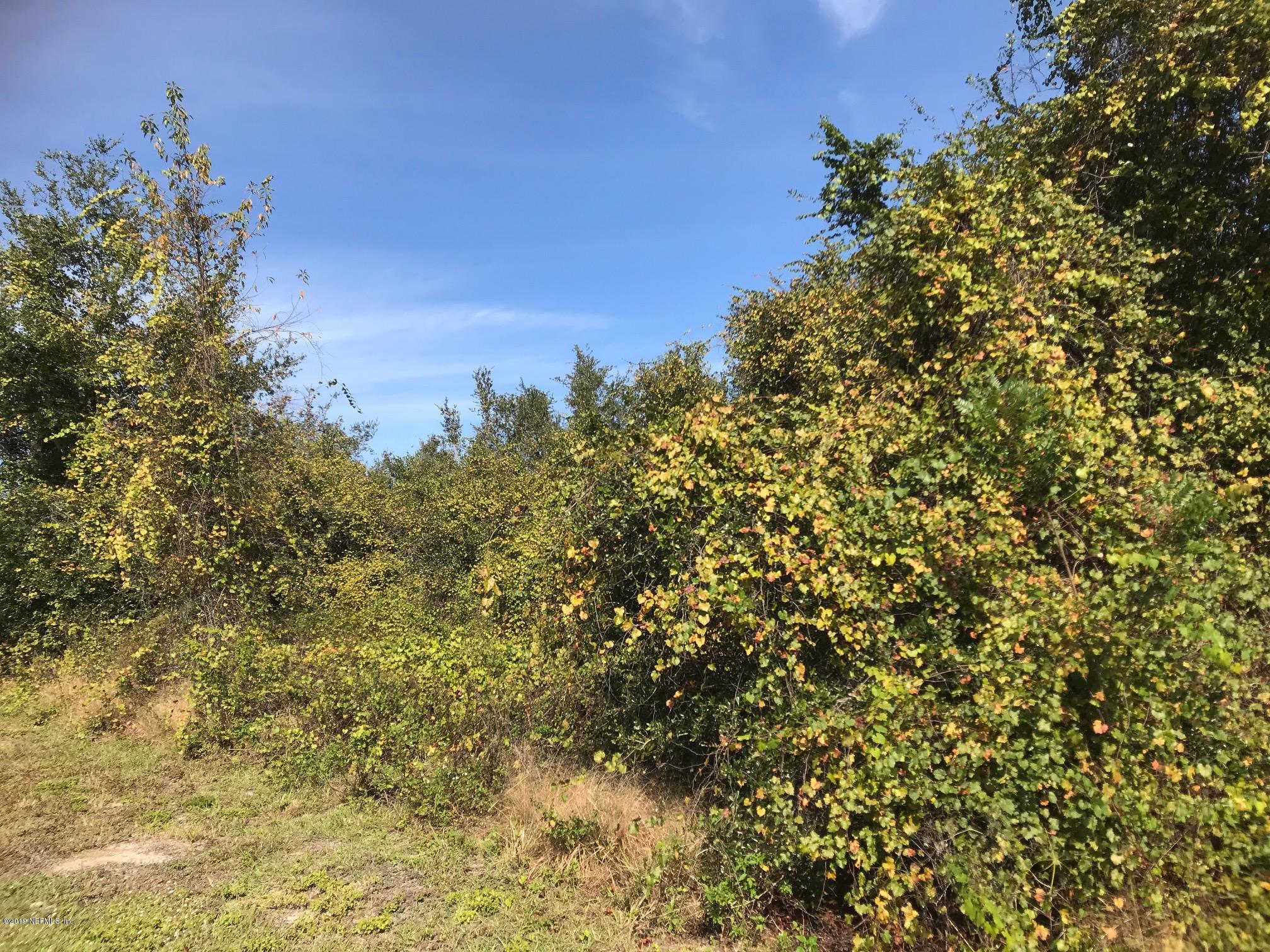 1717 Doyle Road Deltona, FL 32725 - Photo 9 of 9 DOYLE RD LOT