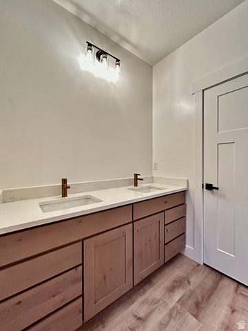 6 South 450th West Gunnison, UT 84634 - Photo 27 of 45 Double vanity with light wood-finish cabinetry, white countertops, and bronze-tone fixtures