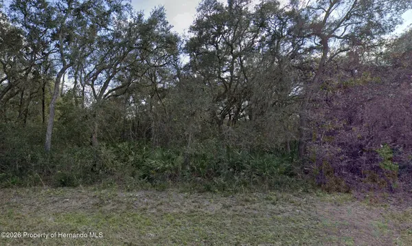$28,000 | 7149 Alloy Street, Webster, FL 33597