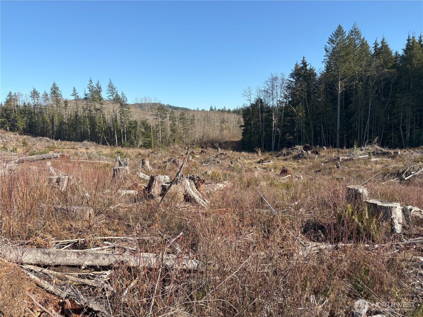 0 B-1000 Road Sequim, WA 98382 - Photo 16 of 16
