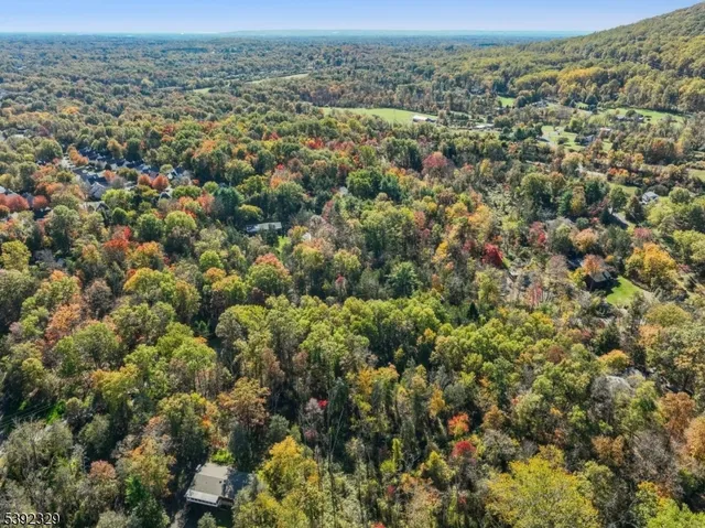 an aerial view of houses with trees