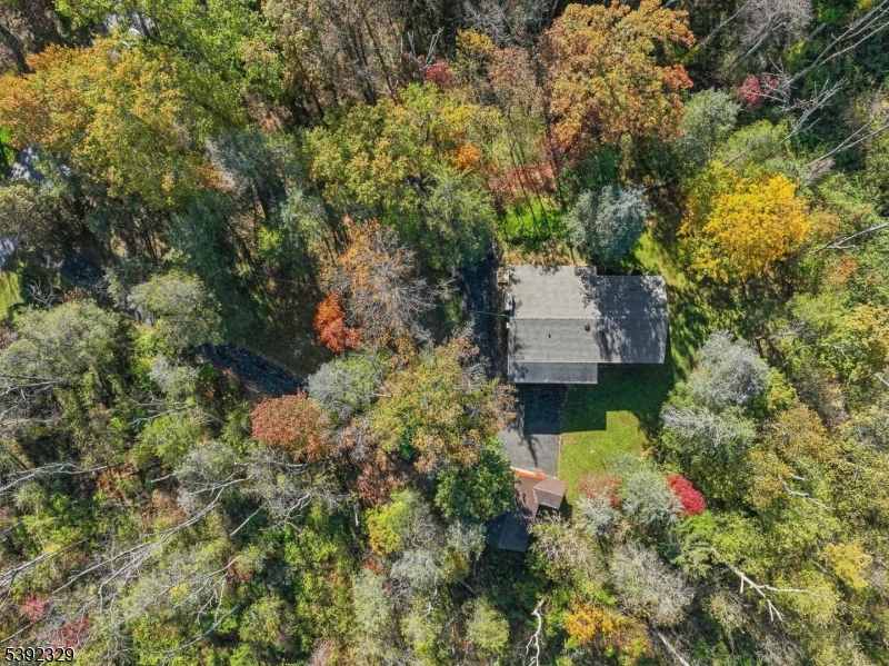 5 Weatherhill Road Lebanon, NJ 08833 - Photo 40 of 47 a picture of trees