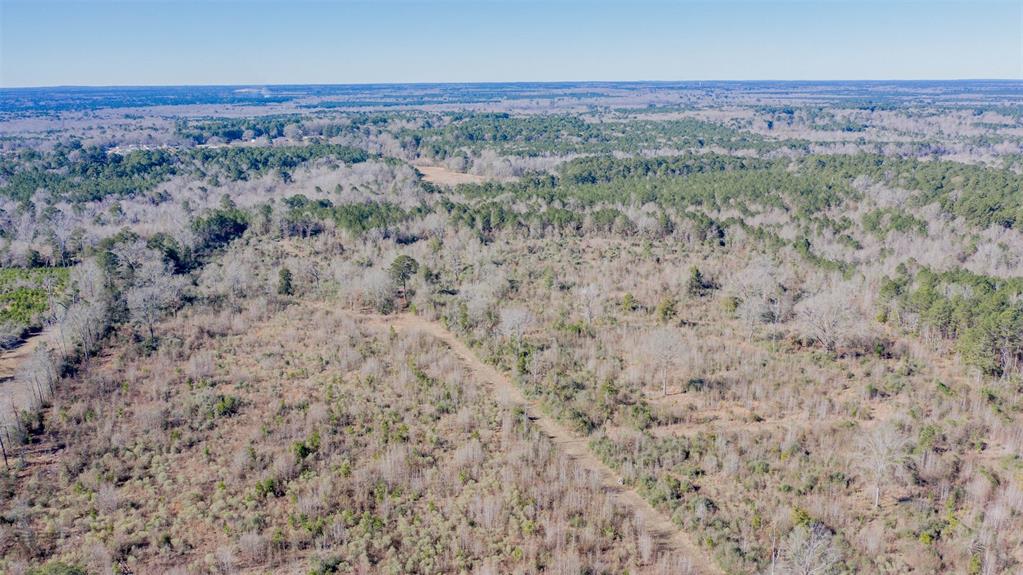 862 Par Road 116 Minden, LA 71055 - Photo 21 of 28 a view of a field with trees in the background