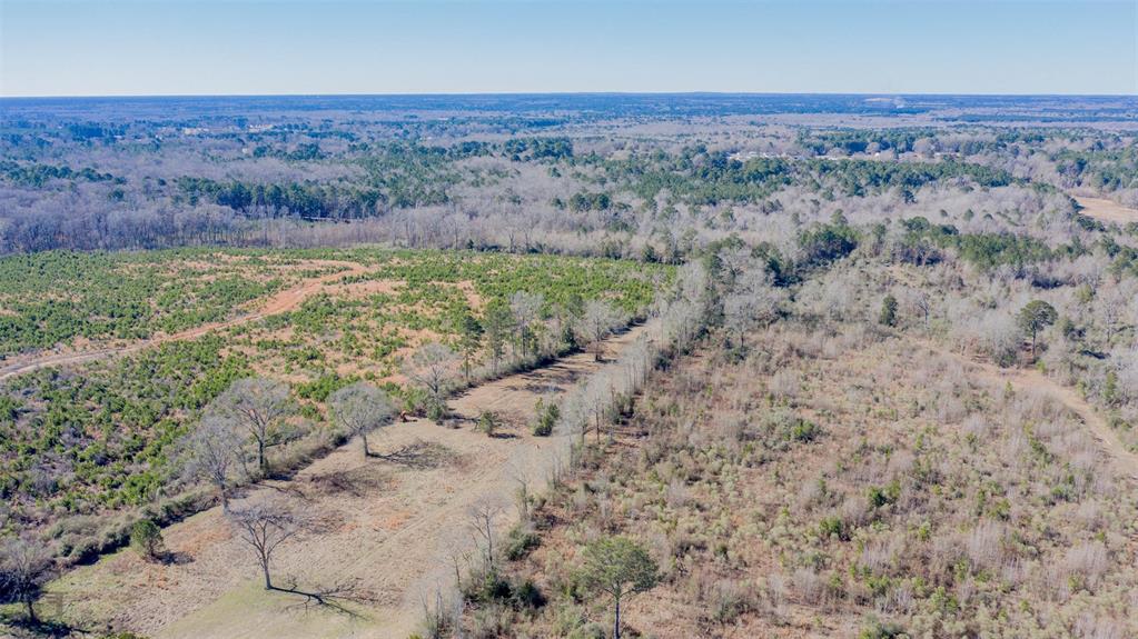 862 Par Road 116 Minden, LA 71055 - Photo 22 of 28 an aerial view of house with yard and mountain view in back