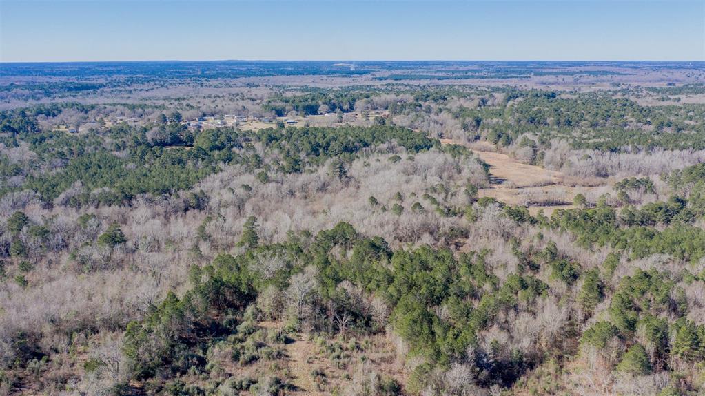 862 Par Road 116 Minden, LA 71055 - Photo 24 of 28 an aerial view of forest