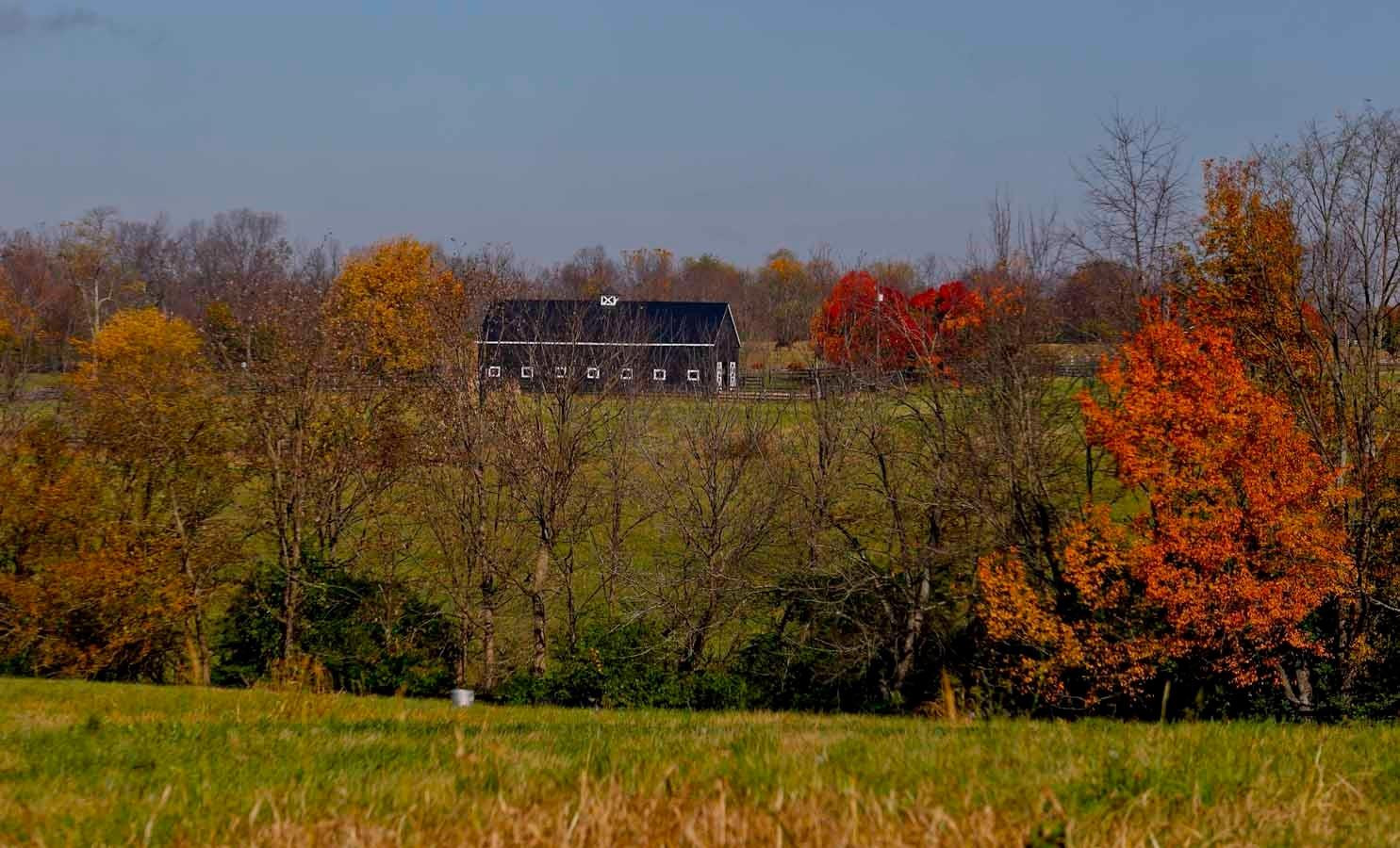 3263 North Cleveland Road Lexington, KY 40516 - Photo 67 of 93 Photo 67