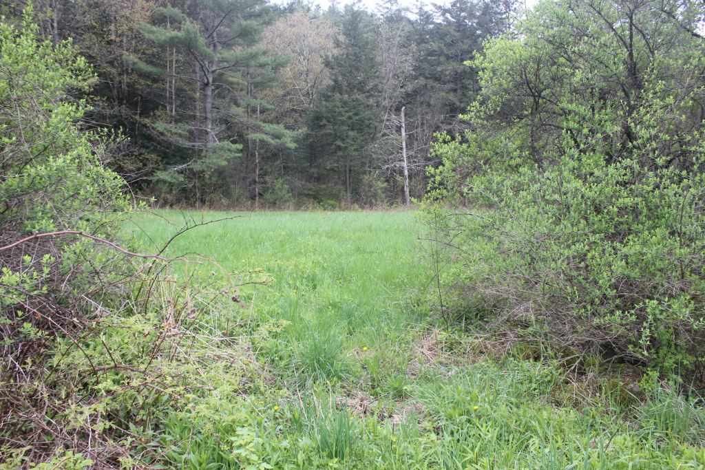 0 Greeley Road Springfield, VT 05156 - Photo 3 of 5