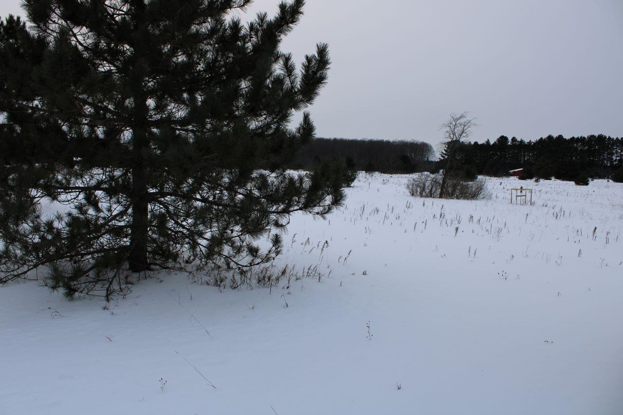 4559 McCoy Road Gaylord, MI 49735 - Photo 79 of 99 1896873-78.JPG