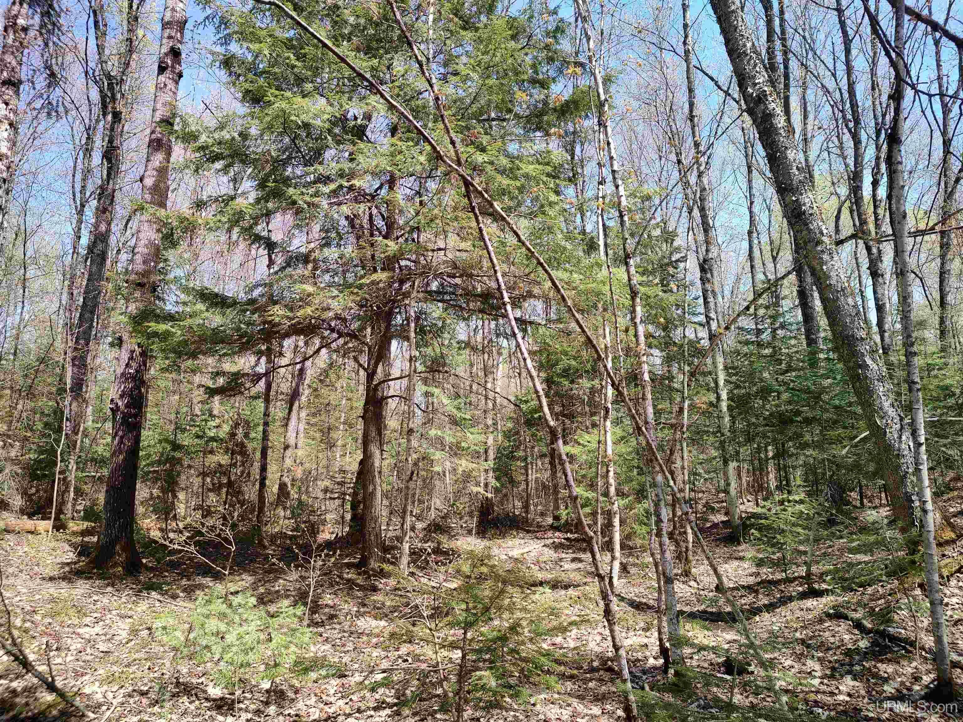 Tbd Tbd Road Pelkie, MI 49958 - Photo 25 of 51