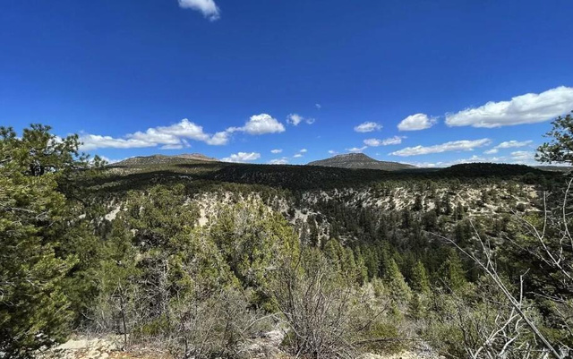 793 South Zion Road Orderville, UT 84758 - Photo 5 of 12 Expansive natural landscape featuring varied terrain, abundant evergreen trees, distant mountain ranges, and a clear blue sky with scattered clouds