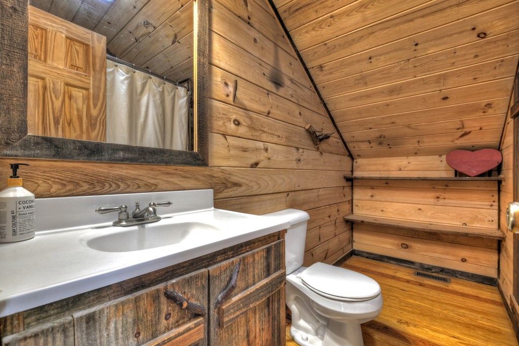 241 Dunn Mill Creek Road Blue Ridge, GA 30513 - Photo 45 of 97 Gallery Image 45