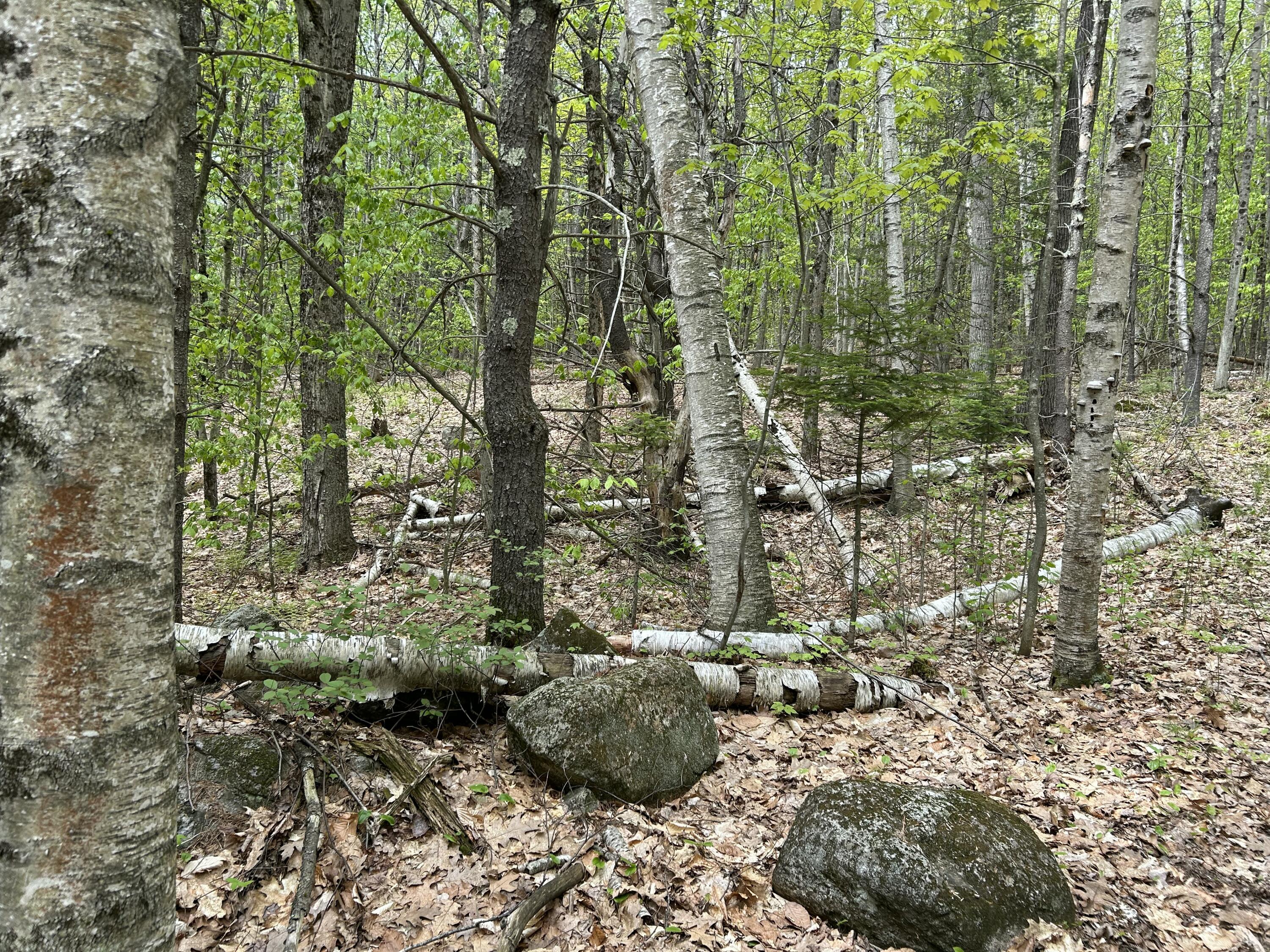 281 Randall Road Lewiston, ME 04240 - Photo 16 of 31