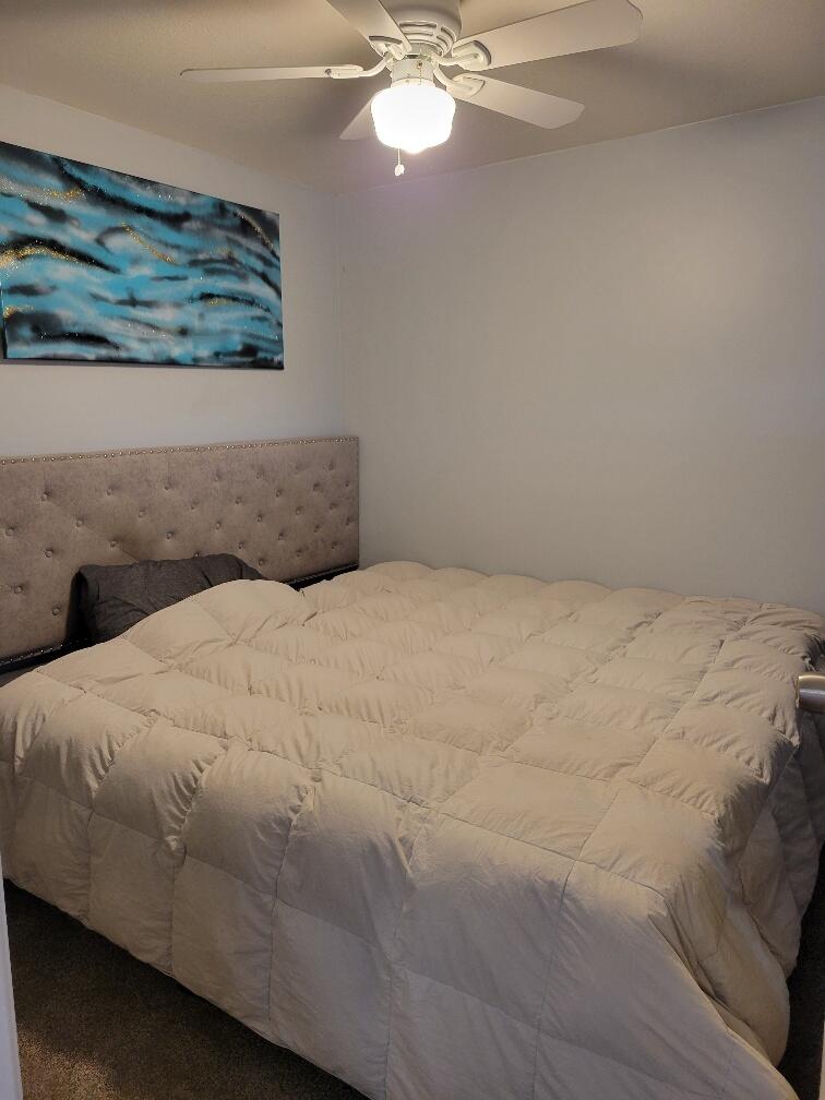 3852 Walmsley Road Alpena, MI 49707 - Photo 12 of 12 Gallery Image 12