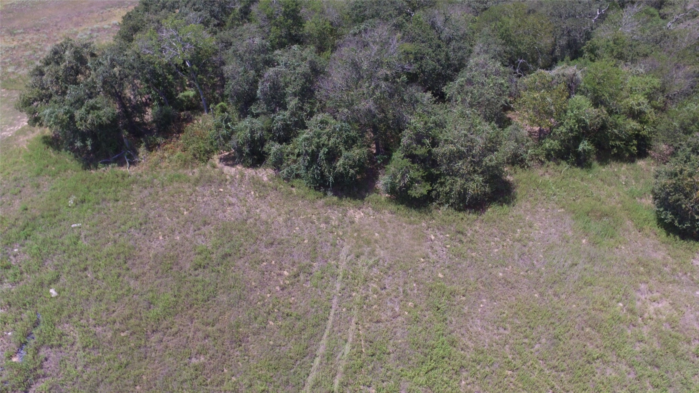 0 County Road 238 Road Cameron, TX 76520 - Photo 6 of 21 Natural, wooded land provides a private, secluded setting.