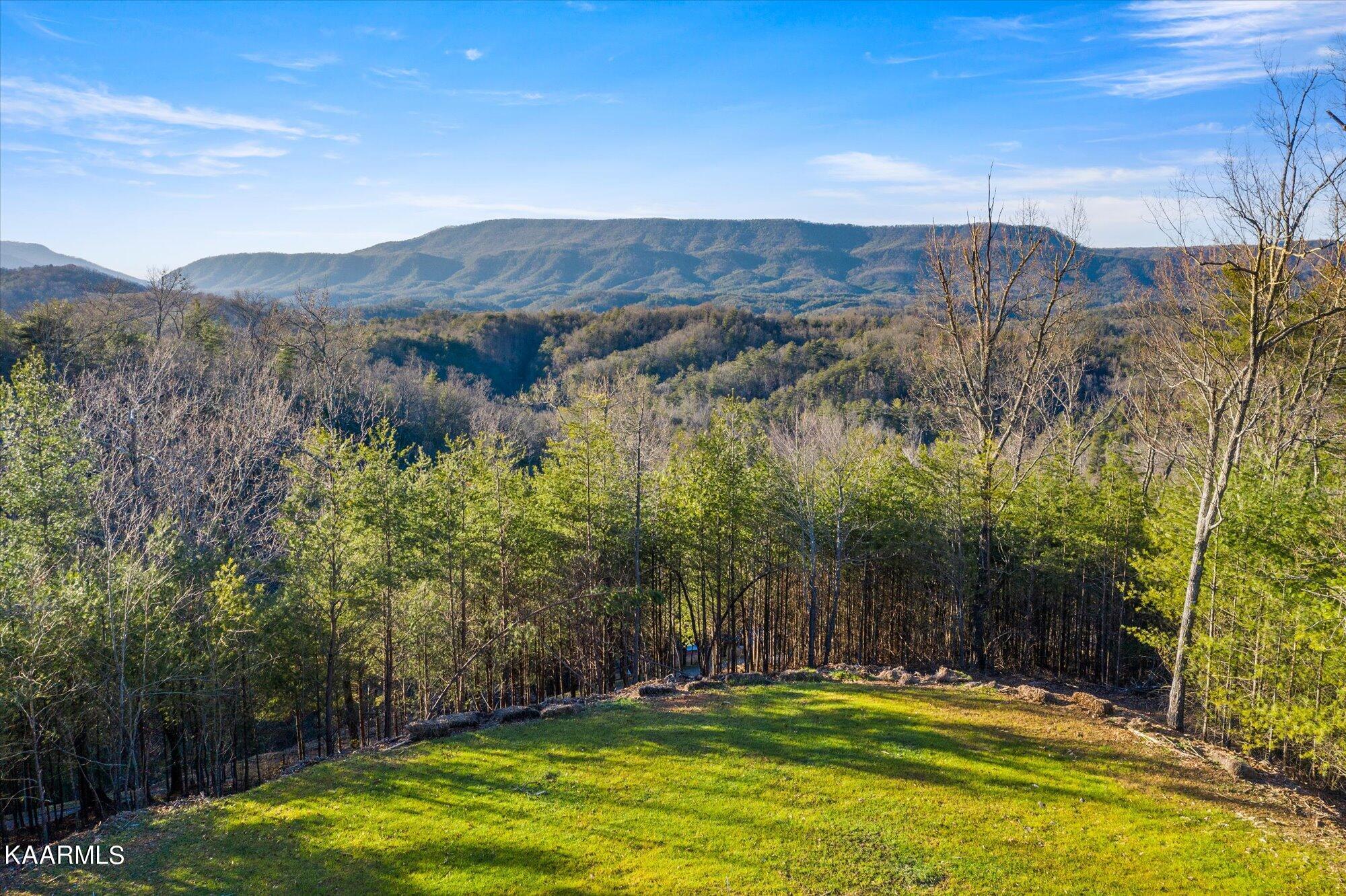 155 High Top Road Reliance, TN 37369 - Photo 12 of 14 13-154-High-Top-Rd-Reliance-TN-13