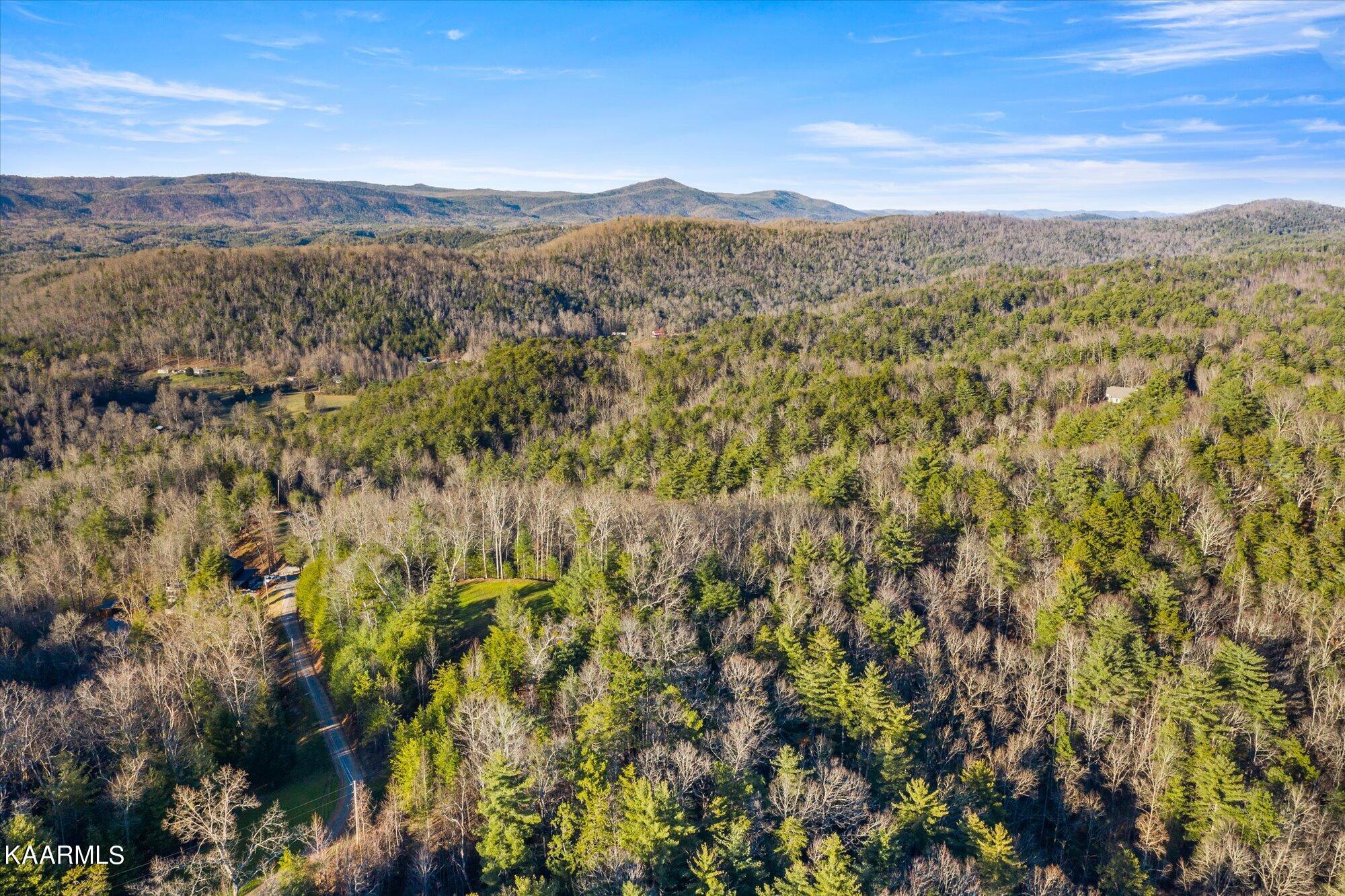 155 High Top Road Reliance, TN 37369 - Photo 3 of 14 04-154-High-Top-Rd-Reliance-TN-4