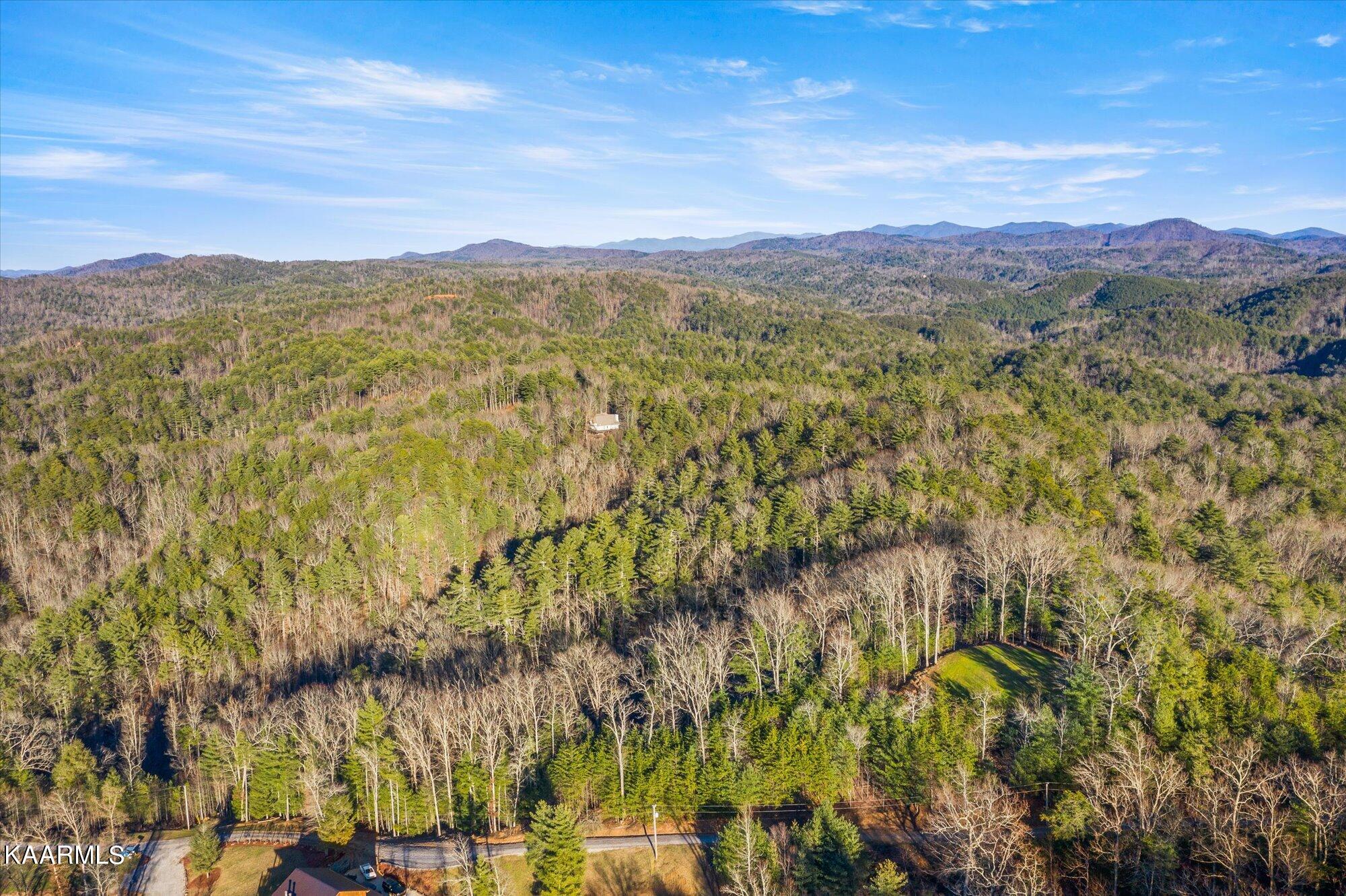 155 High Top Road Reliance, TN 37369 - Photo 4 of 14 05-154-High-Top-Rd-Reliance-TN-5