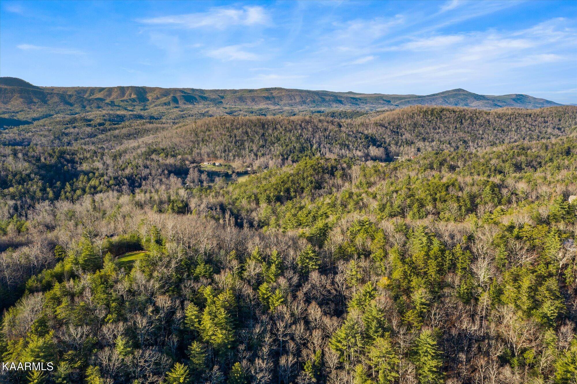 155 High Top Road Reliance, TN 37369 - Photo 5 of 14 06-154-High-Top-Rd-Reliance-TN-6
