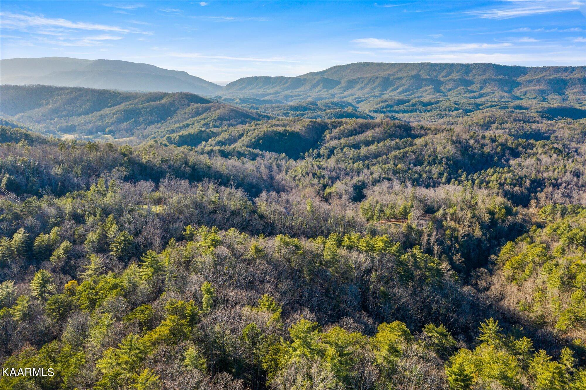 155 High Top Road Reliance, TN 37369 - Photo 6 of 14 07-154-High-Top-Rd-Reliance-TN-7