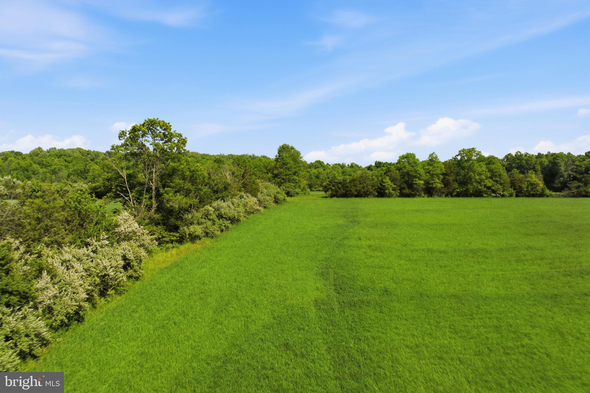 1540 Roundhouse Road Quakertown, PA 18951 - Photo 14 of 20 Lush green fields meet serene woodlands.