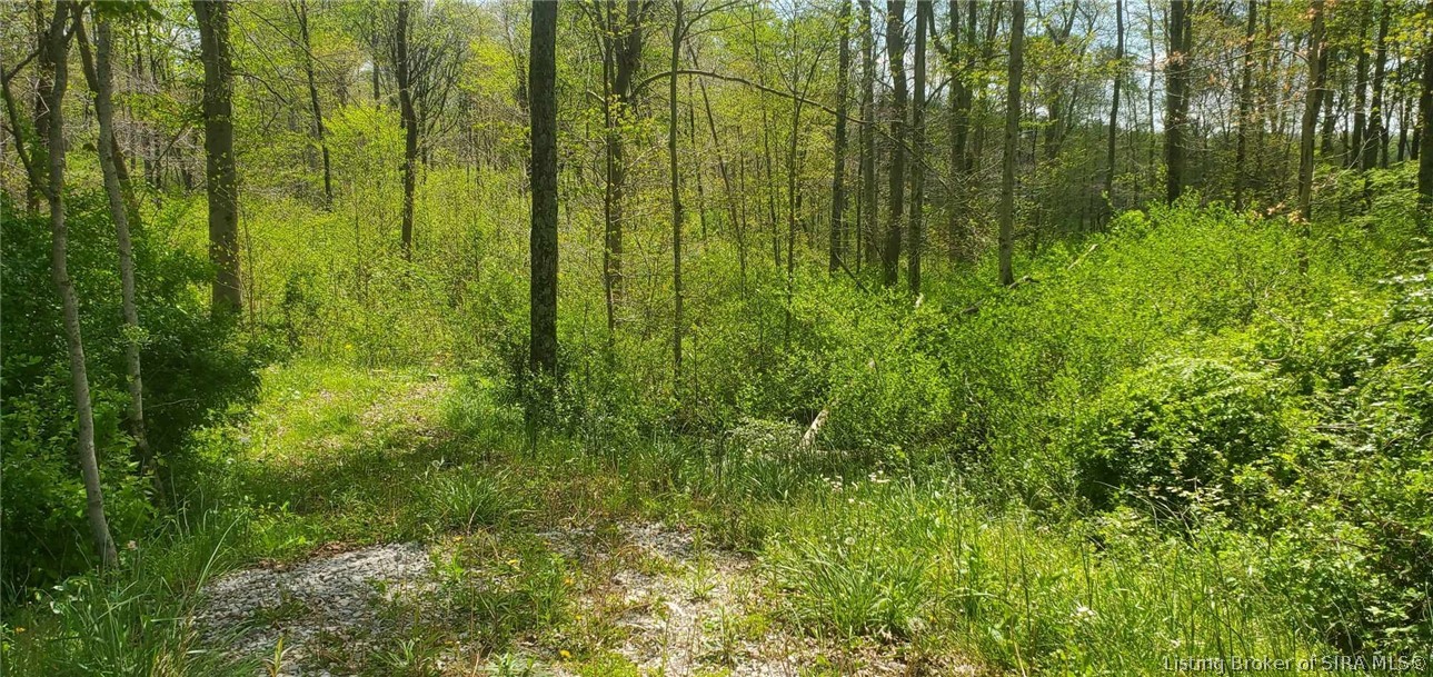 1807 South Getty Road Lexington, IN 47138 - Photo 2 of 8 Gallery Image 2