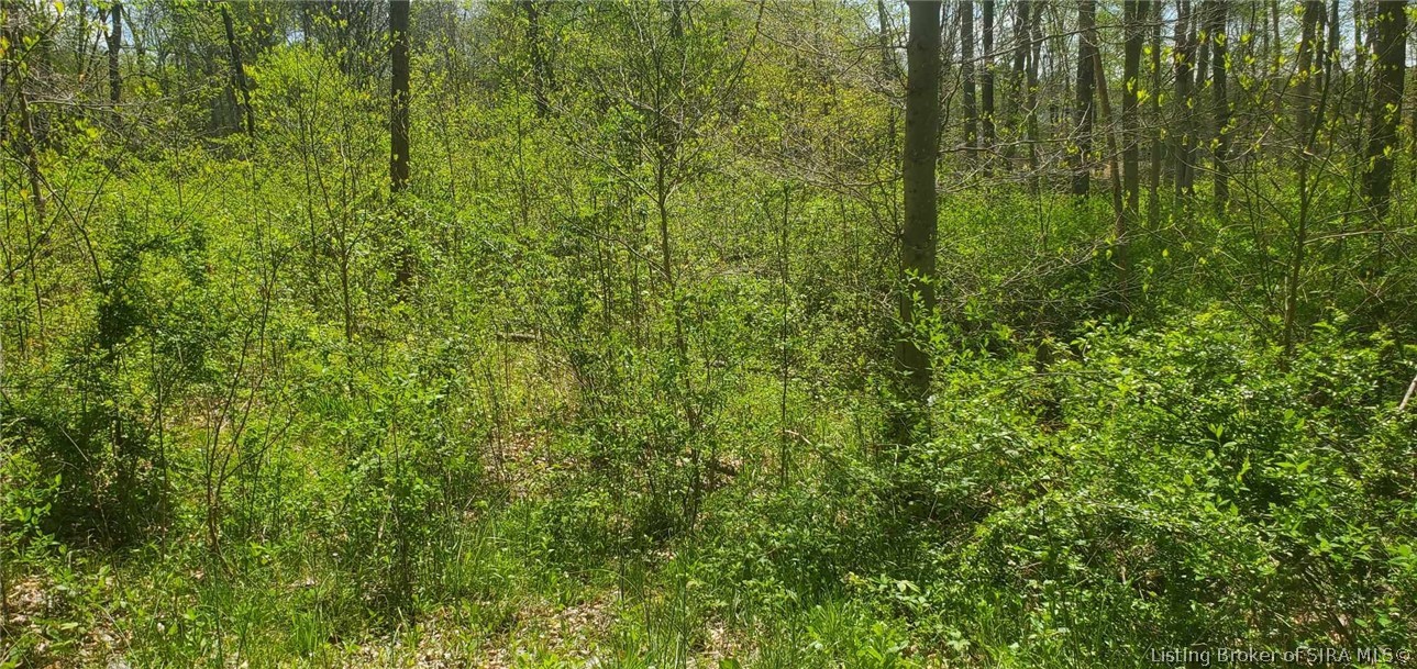 1807 South Getty Road Lexington, IN 47138 - Photo 3 of 8 Gallery Image 3