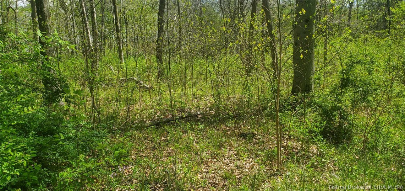 1807 South Getty Road Lexington, IN 47138 - Photo 4 of 8 Gallery Image 4