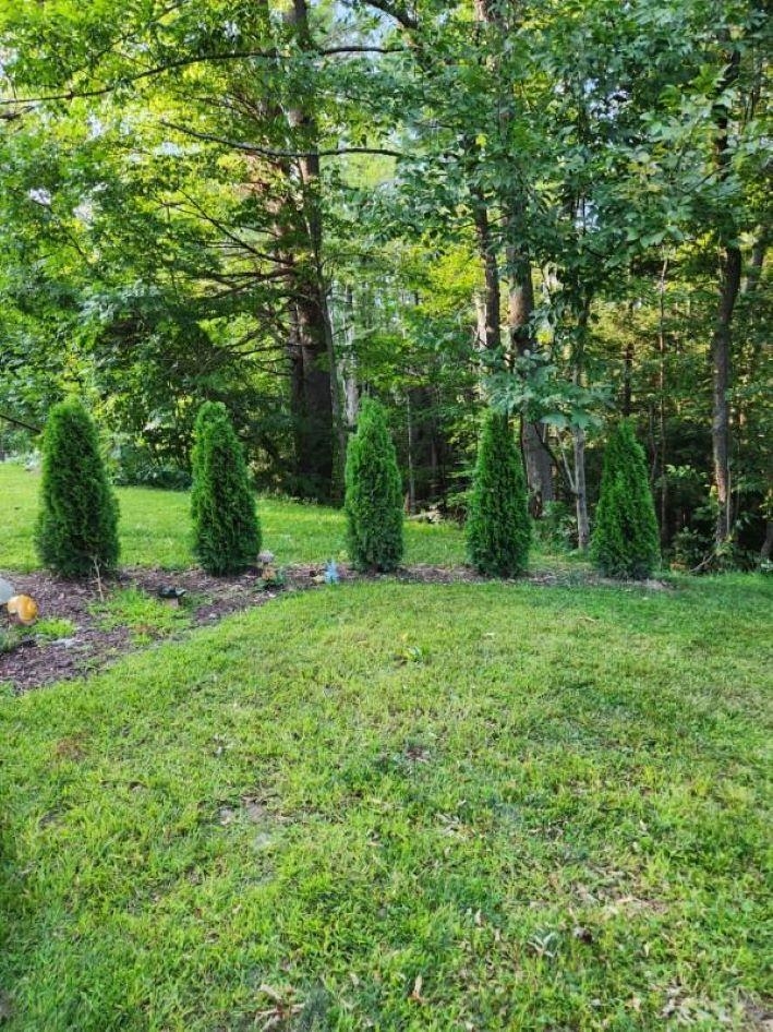 107 Temple Road Greenville, NH 03048 - Photo 15 of 25 Gallery Image 15
