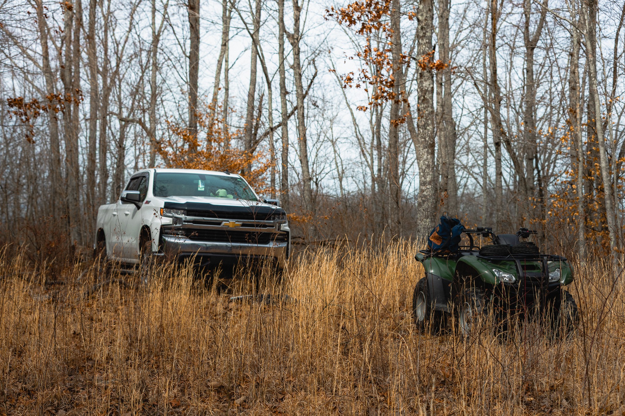 655 Burton Ridge Road Silver Point, TN 38582 - Photo 11 of 32 a view of a yard