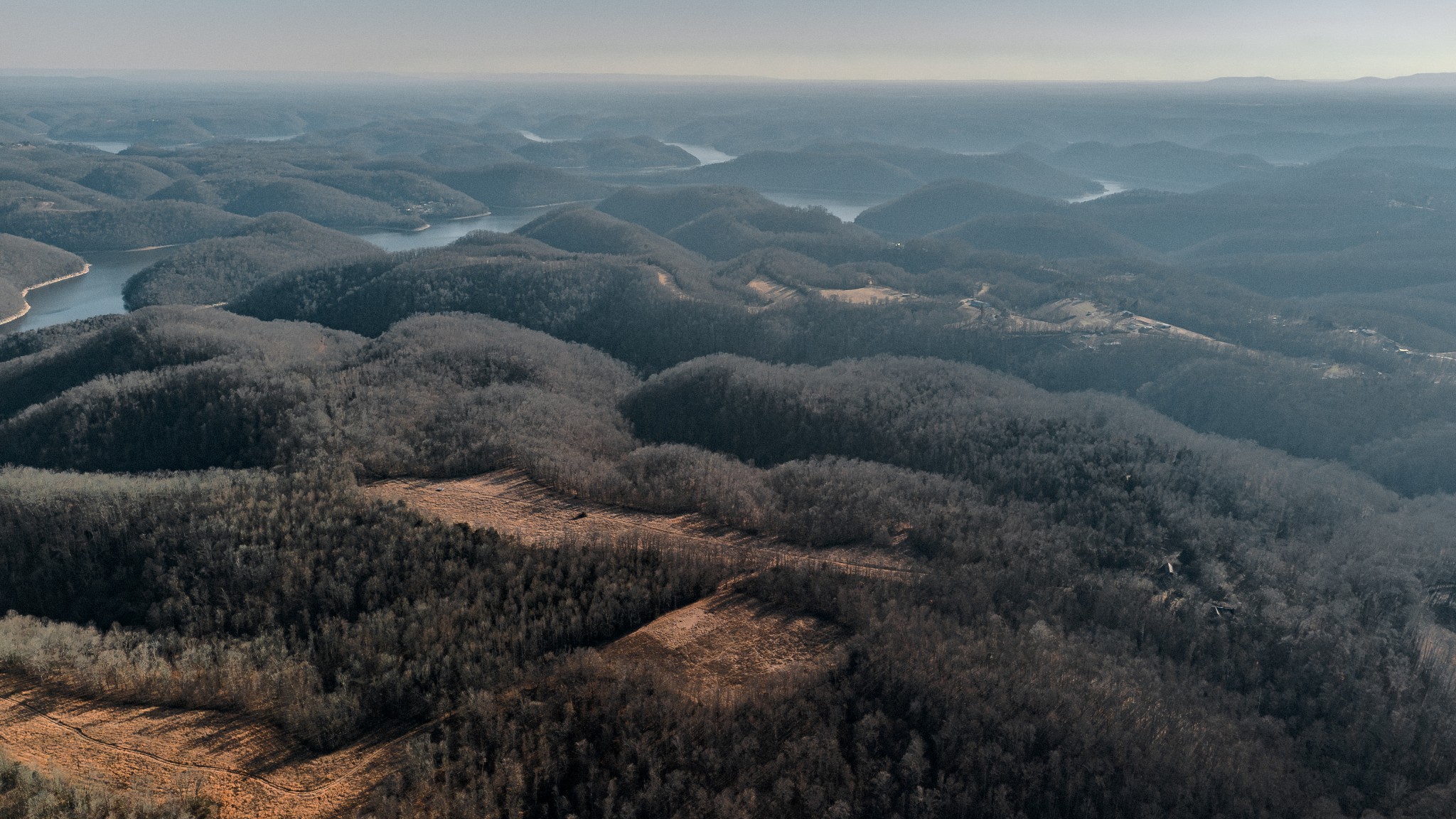 655 Burton Ridge Road Silver Point, TN 38582 - Photo 18 of 32 a close up of a bunch of trees