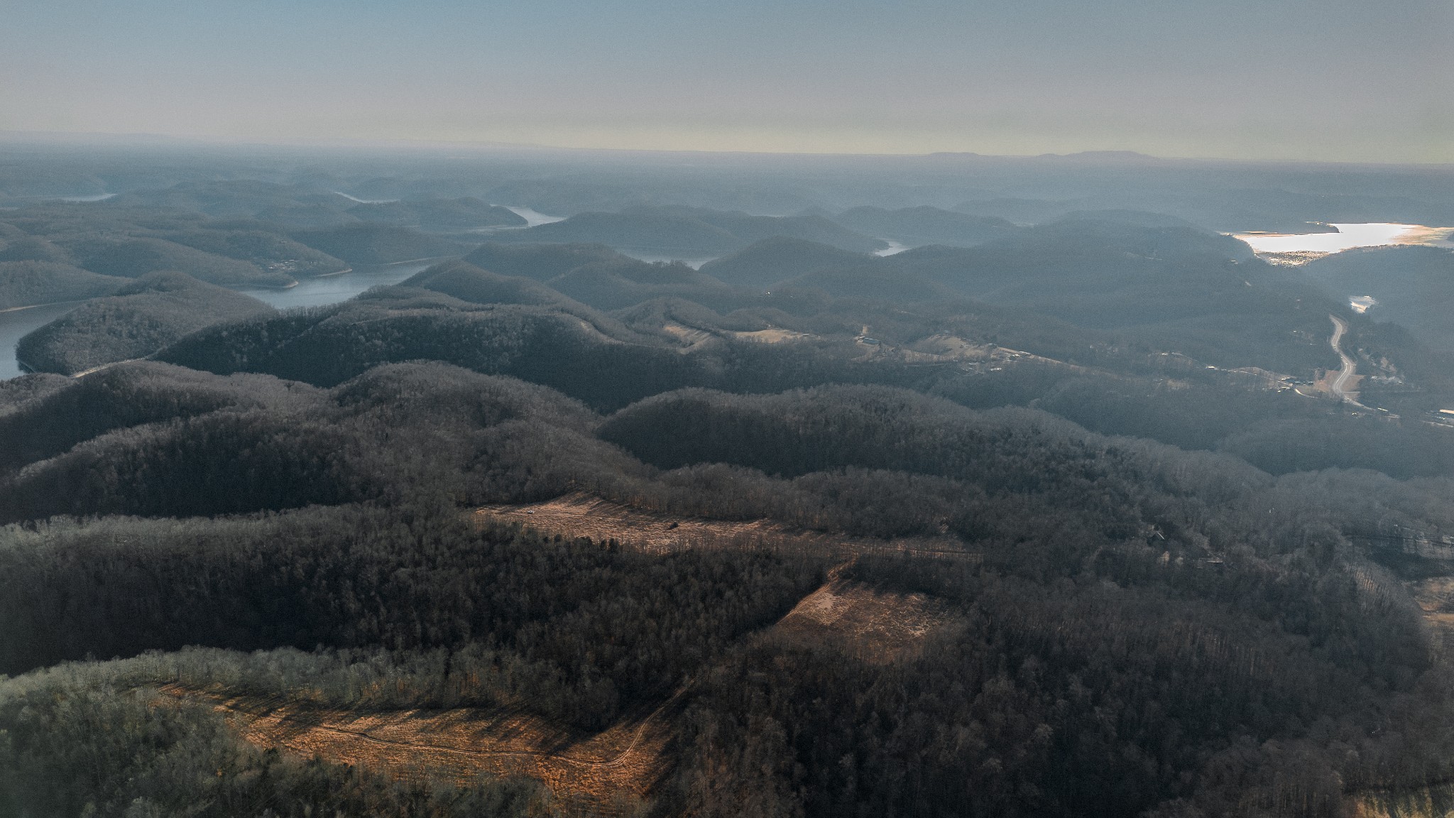 655 Burton Ridge Road Silver Point, TN 38582 - Photo 20 of 32 a view of lot of trees