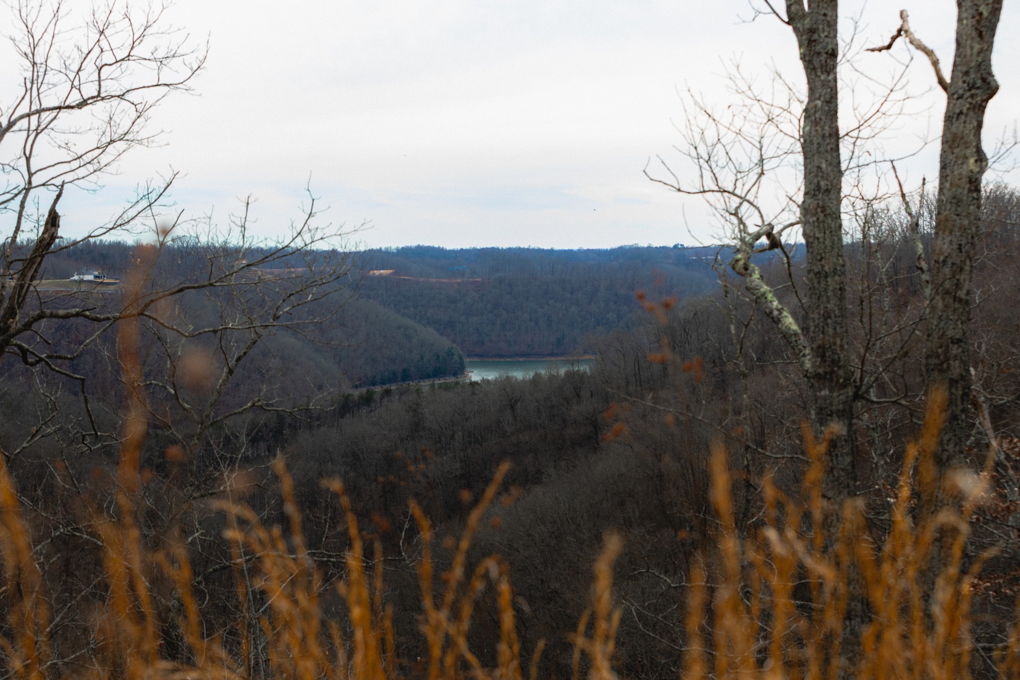 655 Burton Ridge Road Silver Point, TN 38582 - Photo 21 of 32 a view of a backyard of the house