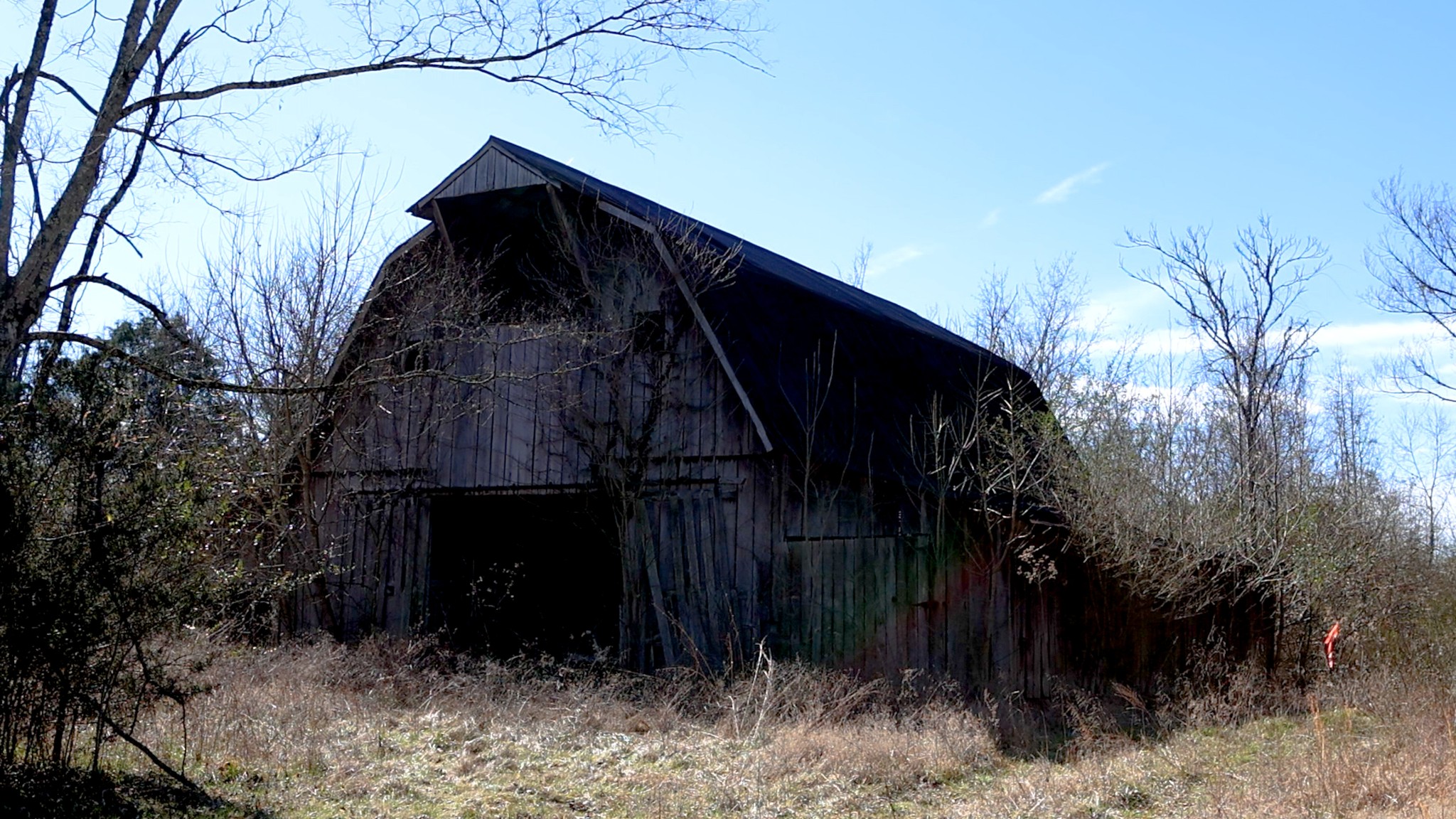 655 Burton Ridge Road Silver Point, TN 38582 - Photo 22 of 32 a view of backyard with plants and wooden fence