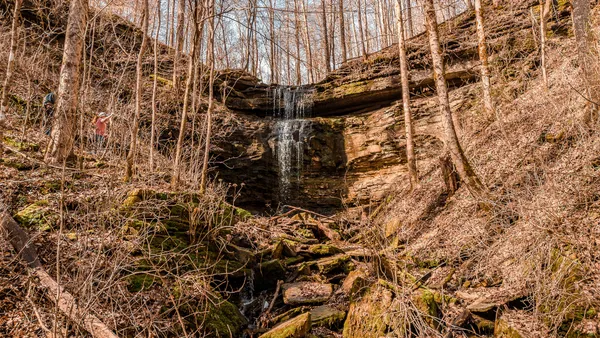 a view of path along with trees