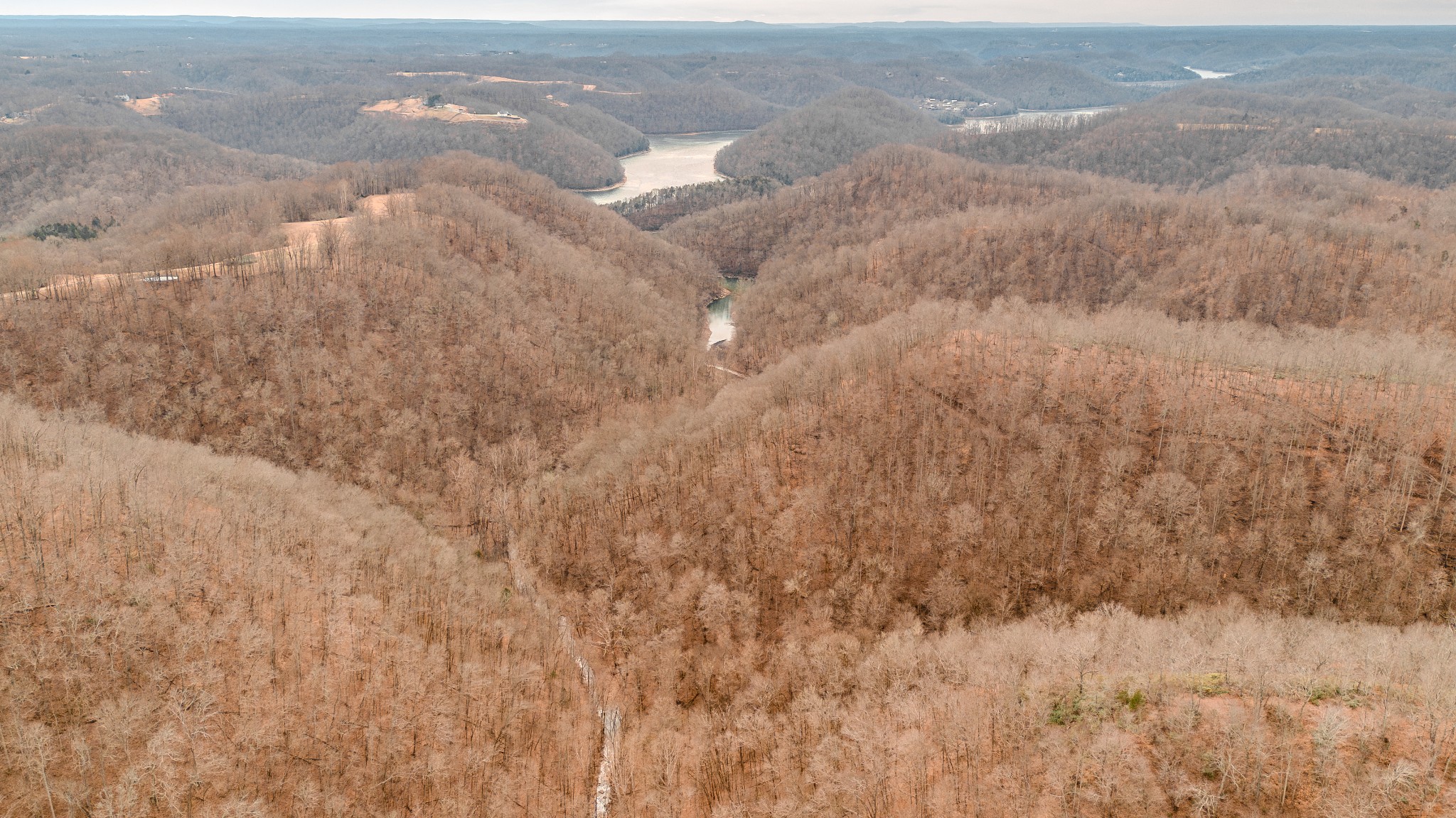 655 Burton Ridge Road Silver Point, TN 38582 - Photo 7 of 32 a view of city and mountain