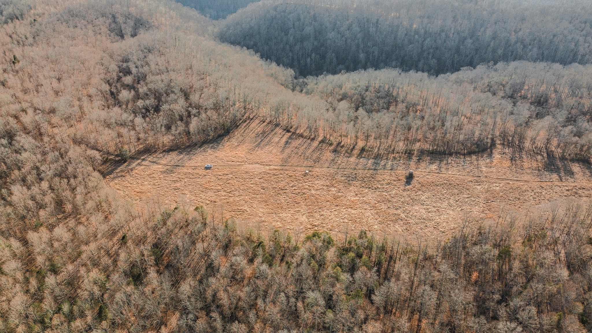655 Burton Ridge Road Silver Point, TN 38582 - Photo 9 of 32 a view of a dry yard with trees