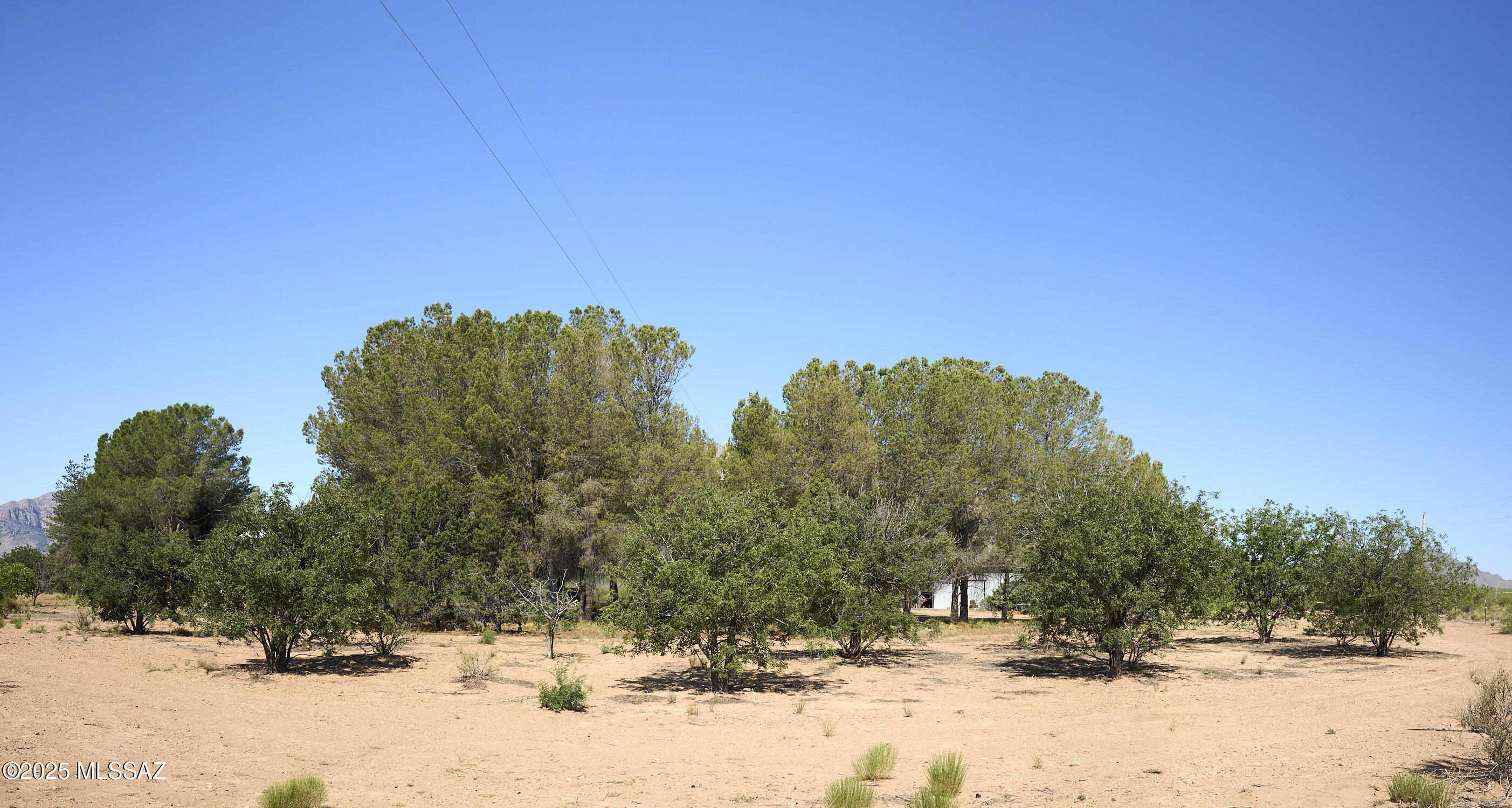 285 West Red Dog Road San Simon, AZ 85632 - Photo 11 of 38