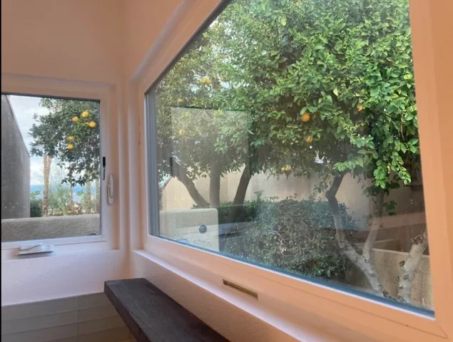 a view of a window and a tree