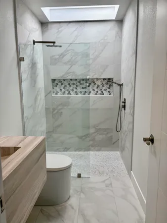 a bathroom with a shower and a toilet
