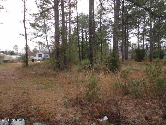 7142 Old Georgetown Road Southwest Ocean Isle Beach, NC 28469 - Photo 3 of 4 2010-03-24 22.48.53