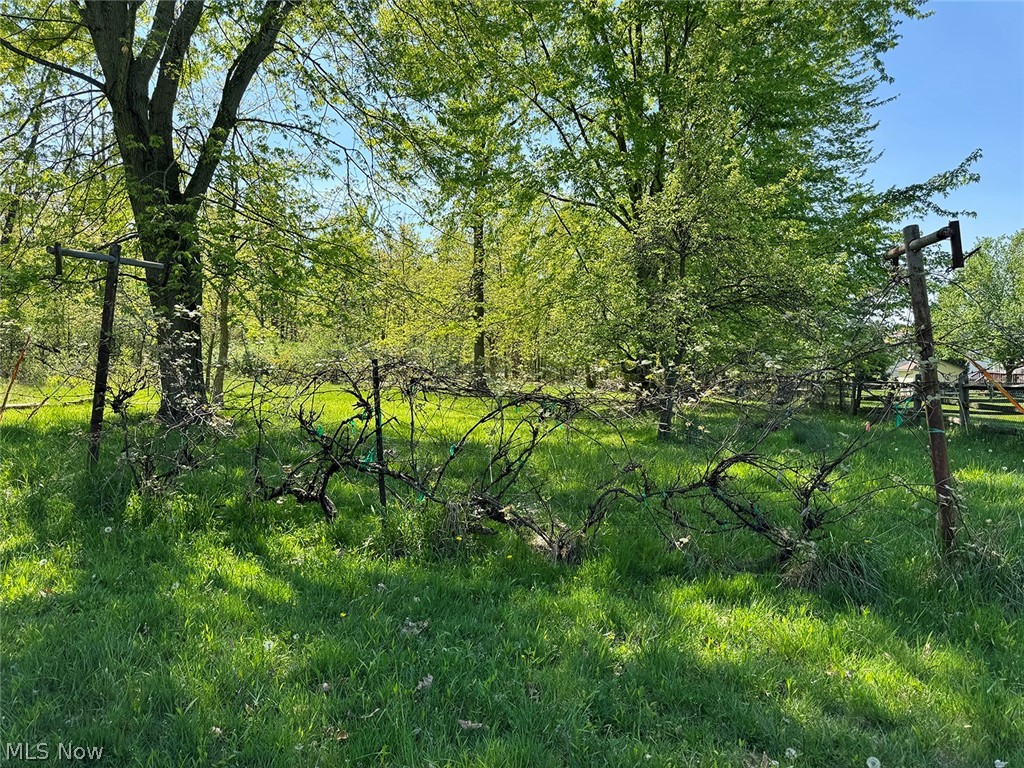 5934 Ryan Road Medina, OH 44256 - Photo 23 of 24 View of mother earth's splendor