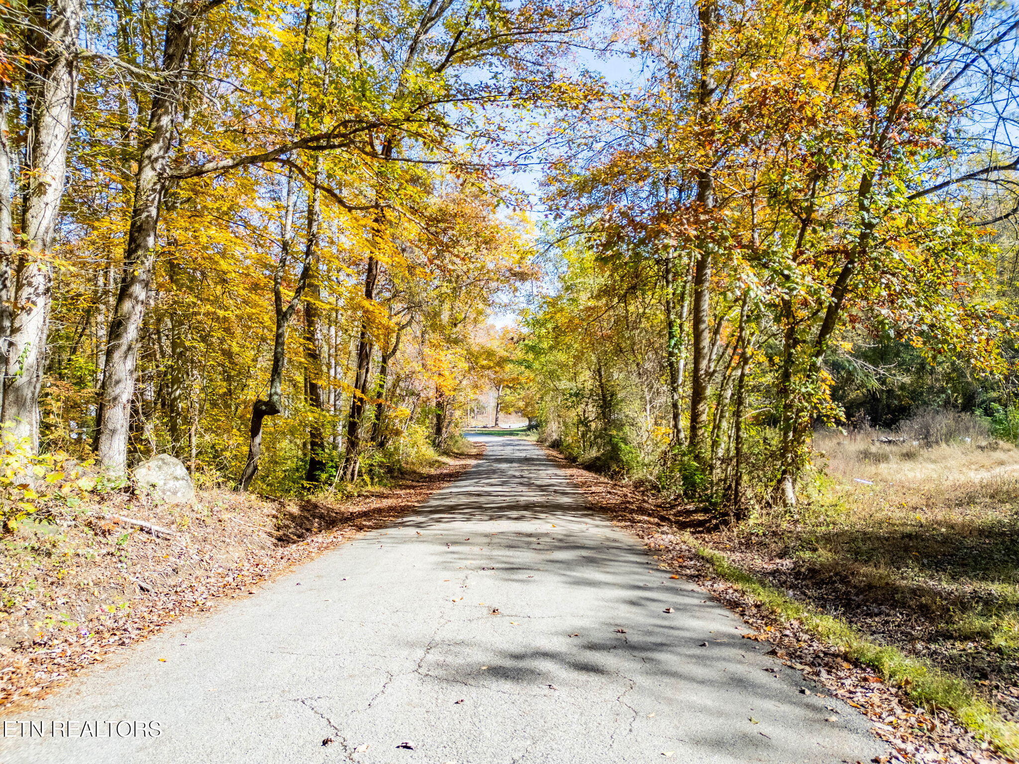 1395 Mountain View Road Rockwood, TN 37854 - Photo 11 of 25 37-web-or-mls-DJI_0467-HDR