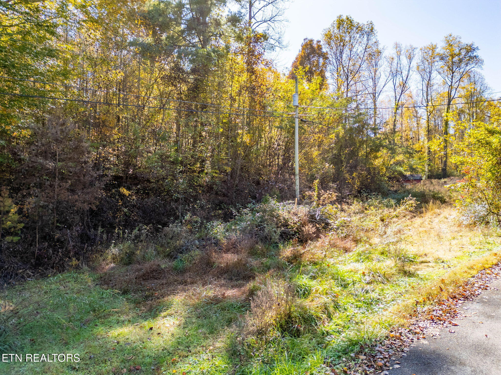 1395 Mountain View Road Rockwood, TN 37854 - Photo 17 of 25 48-web-or-mls-DJI_0617-HDR