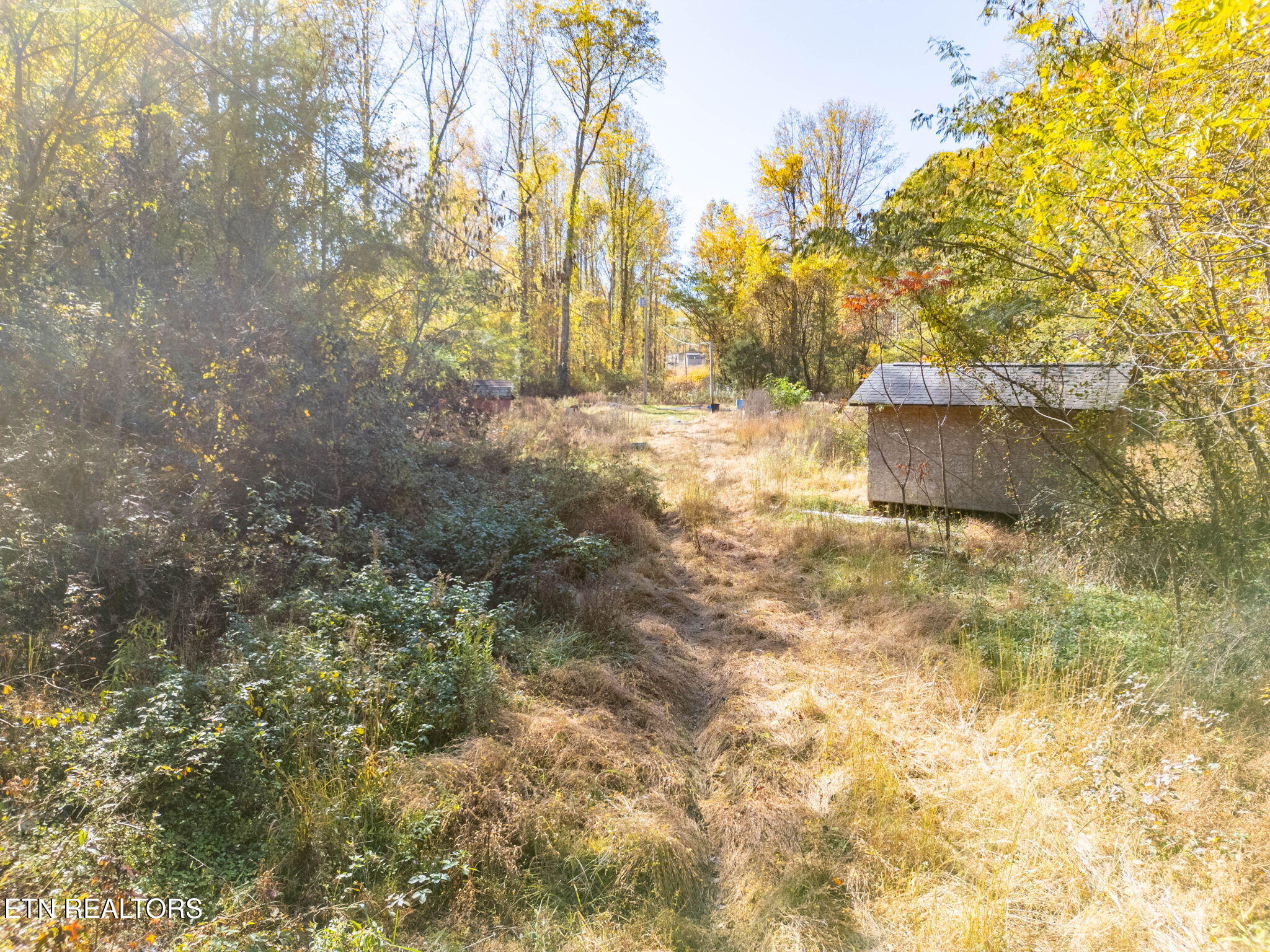 1395 Mountain View Road Rockwood, TN 37854 - Photo 19 of 25 50-web-or-mls-DJI_0627-HDR